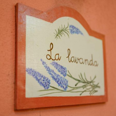 Homeforguest Cosy Rural Flat La Lavanda Surrounded By Nature Tacoronte Exterior foto