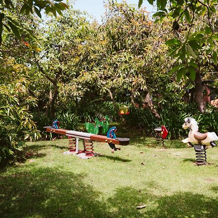 Homeforguest Cosy Rural Flat La Lavanda Surrounded By Nature Tacoronte Exterior foto