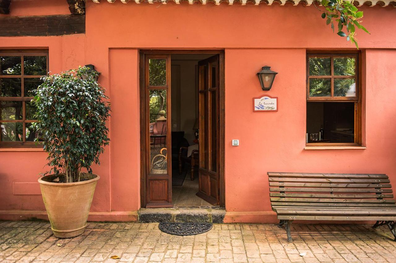 Homeforguest Cosy Rural Flat La Lavanda Surrounded By Nature Tacoronte Exterior foto