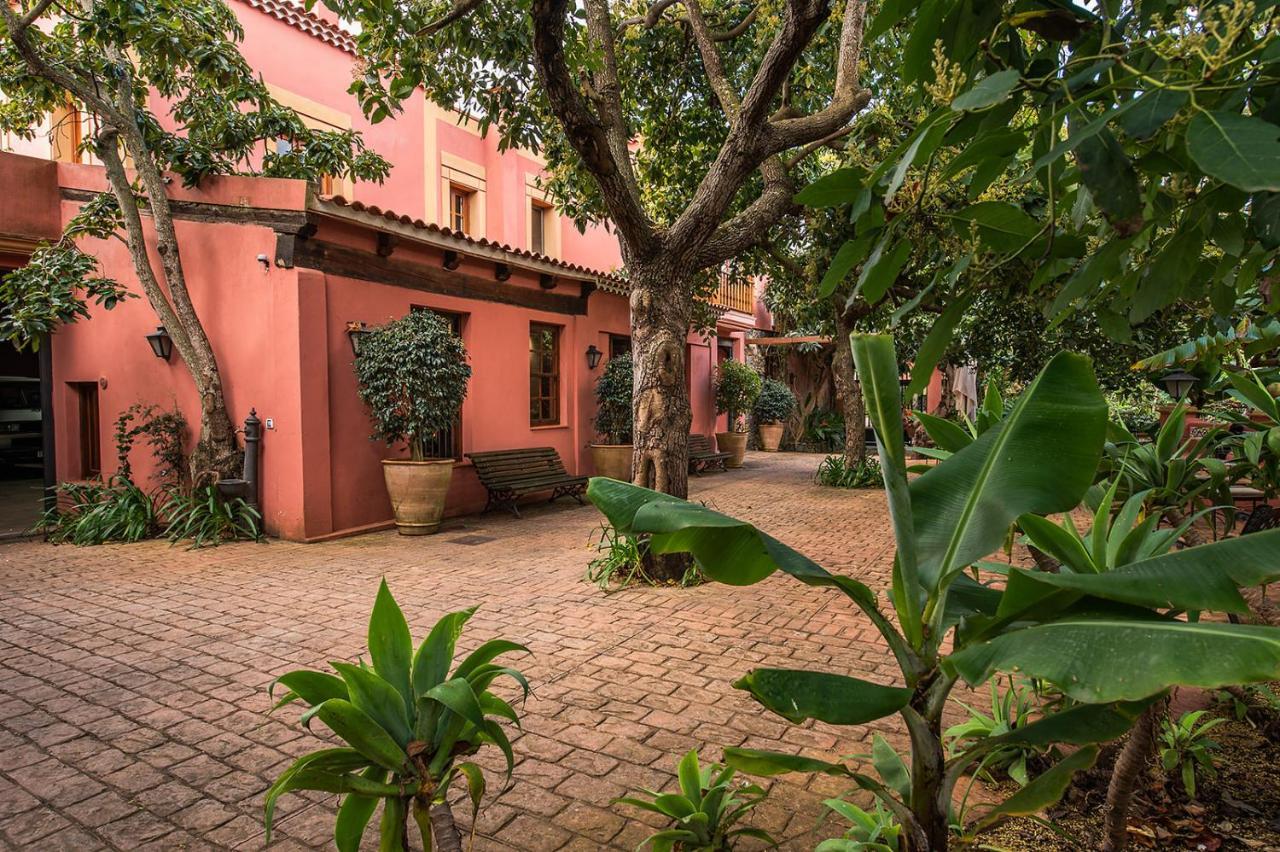 Homeforguest Cosy Rural Flat La Lavanda Surrounded By Nature Tacoronte Exterior foto