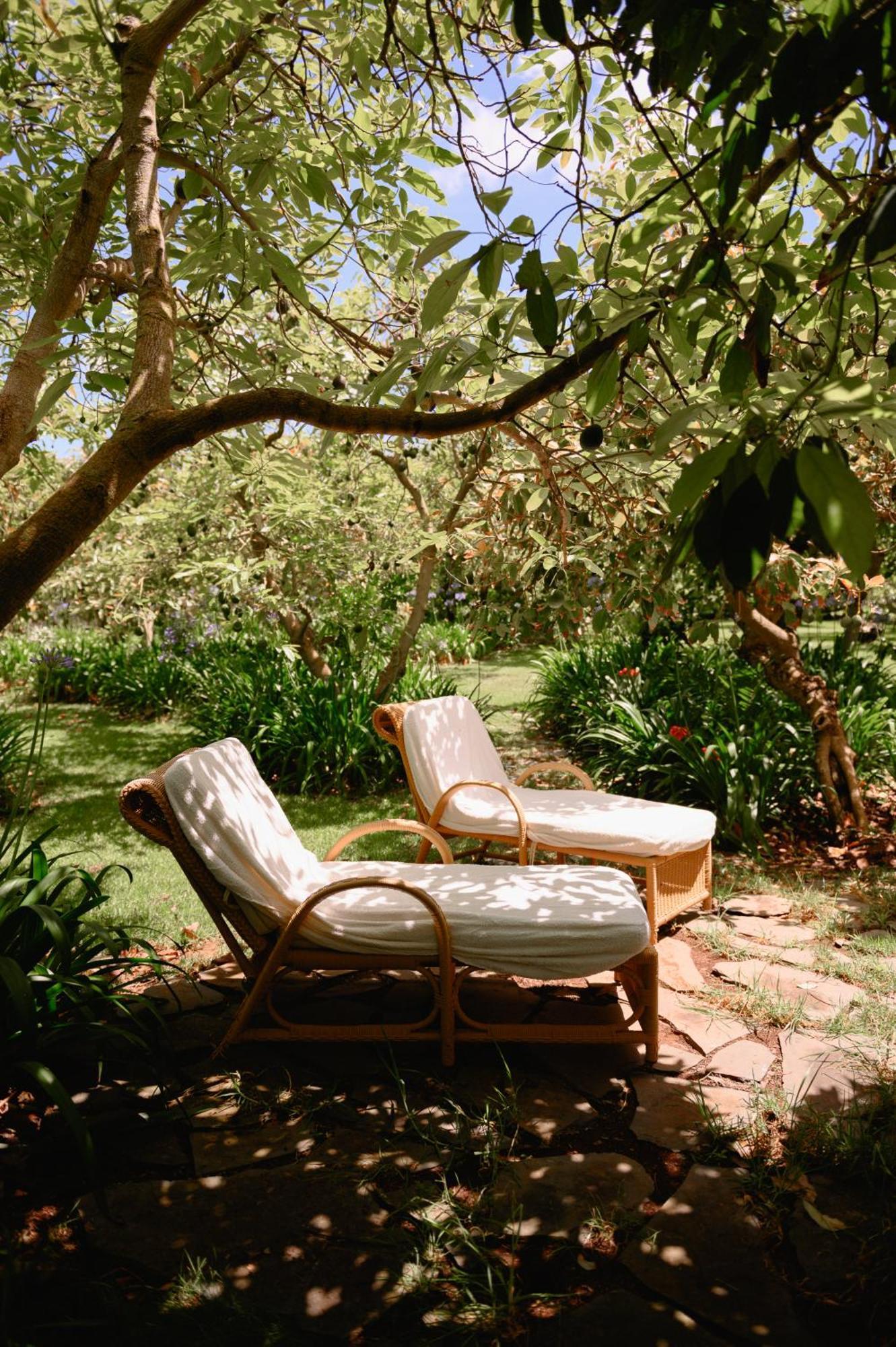 Homeforguest Cosy Rural Flat La Lavanda Surrounded By Nature Tacoronte Exterior foto